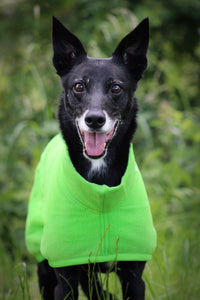 Jaegr Snug Fleece