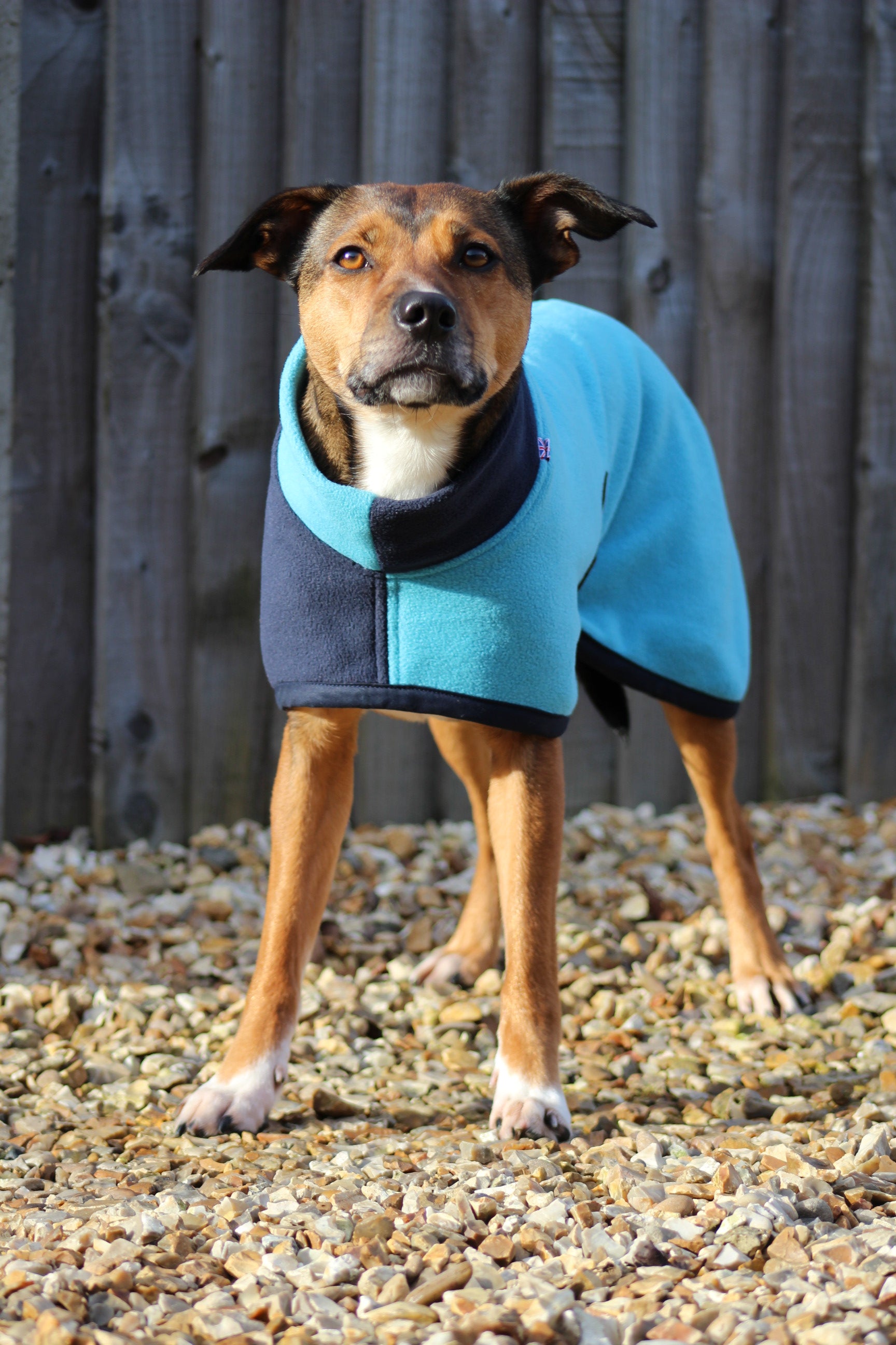 Dog Coat Snug Fleece jaegr DOGWEAR - Main Image