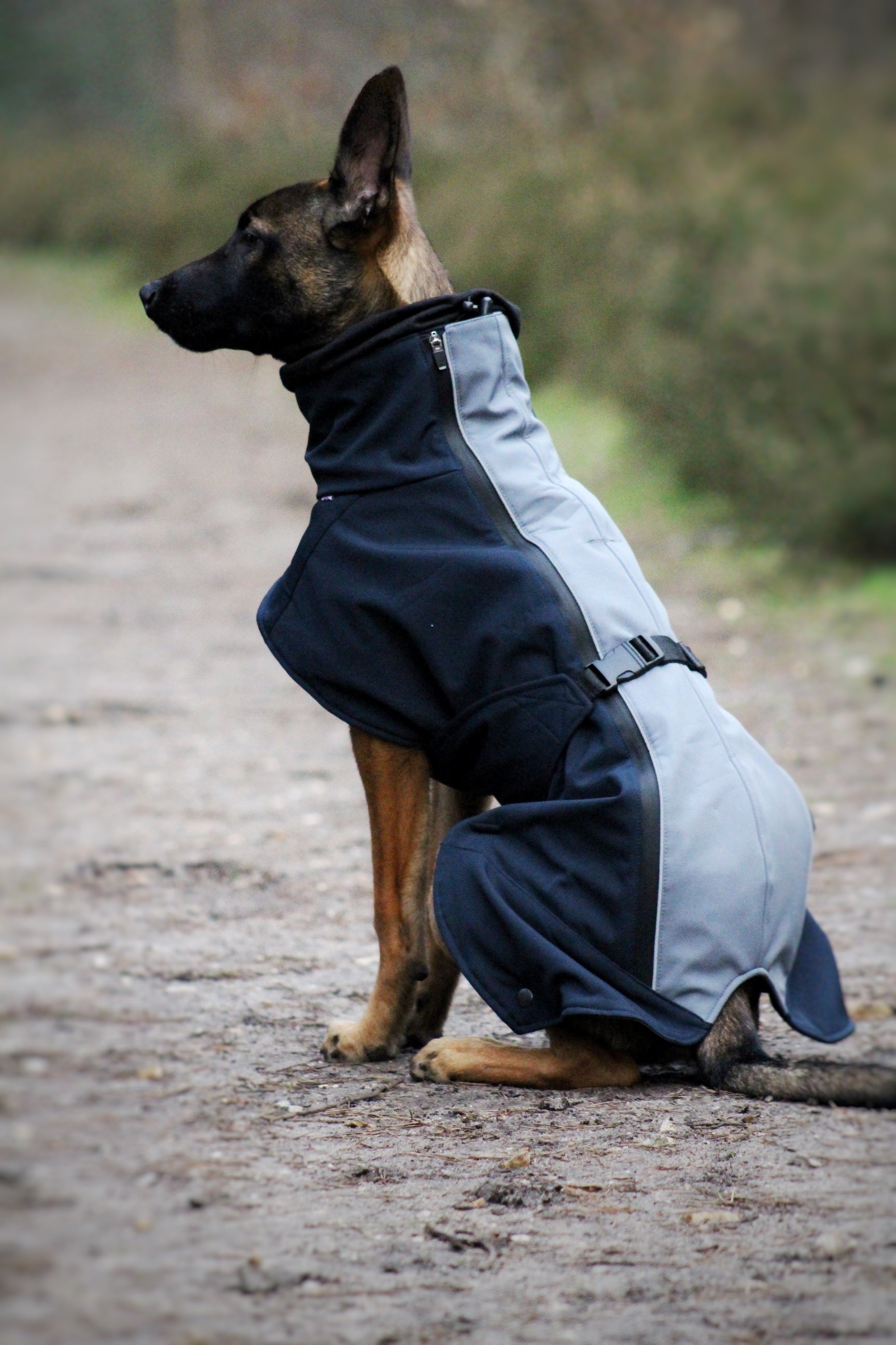 Supreme Pup: The Dog Jacket That's Cooler Than You (Unless Supreme Pup: The Dog Jacket That's Cooler Than You (Unless