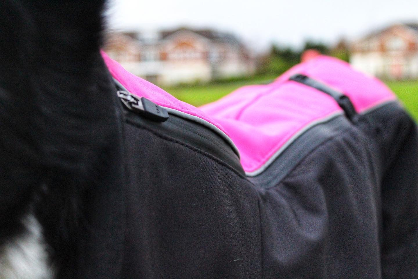 Best Waterproof Dog Coat 